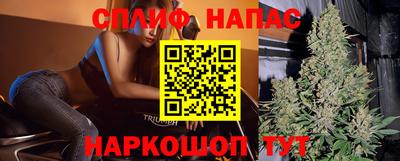 стаф Ливны