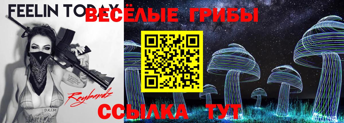 Галлюциногенные грибы MAGIC MUSHROOMS Заводоуковск