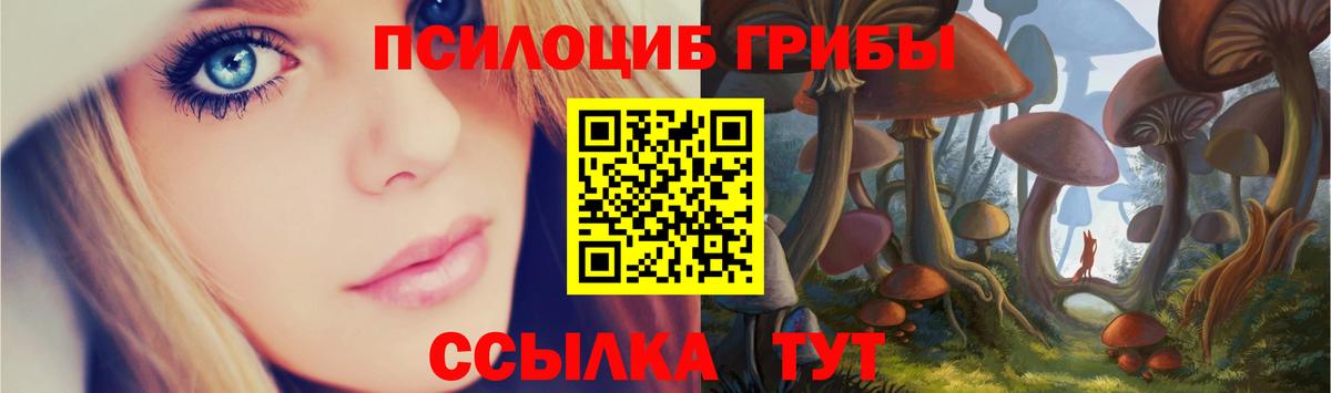Заводоуковск  Псилоцибиновые грибы MAGIC MUSHROOMS  Вход с VPN 